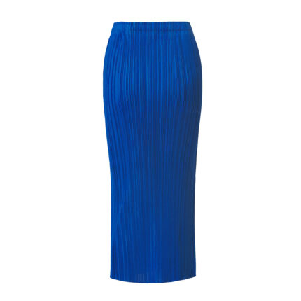 Limited color basic skirt